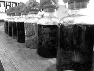 ​白酒冬天能快递吗(白酒冬天快递有漏酒现象吗)