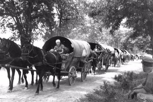 二战结束后欧洲各国是怎么报复德国的?