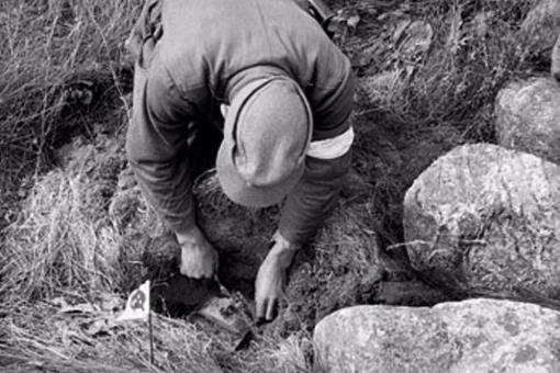 二战结束后欧洲各国是怎么报复德国的?