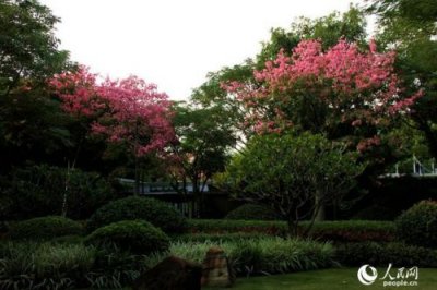 ​白鹭洲城市公园_白鹭洲城市公园在哪里