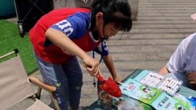 ​低碳环保小制作最简单(低碳环保小制作手工)