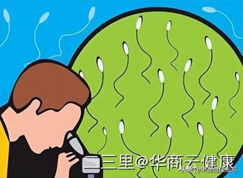 怀孕前男性要做哪些必要检查(怀孕之前男性注意事项)-第2张图片-