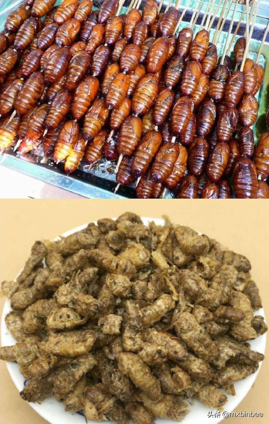 蚕茧为什么有不同颜色(蚕茧颜色由什么决定)