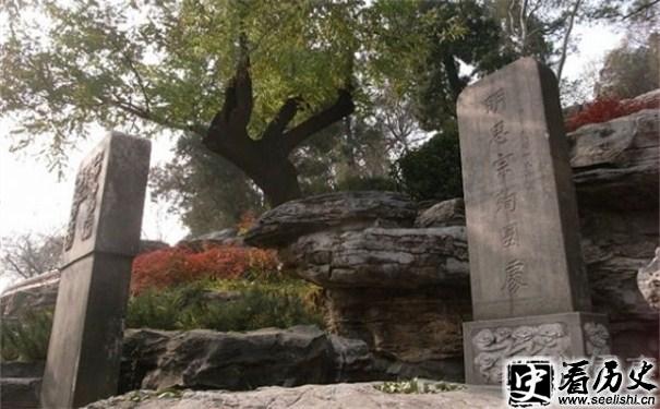 崇祯帝上吊的树图片