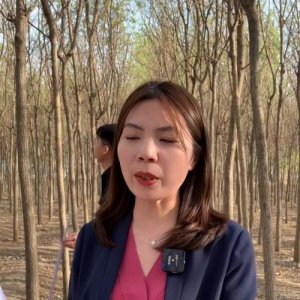 ​林地承包合同书样本(林地承包合同最长期限)