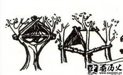 ​构木为巢以避群害的故事