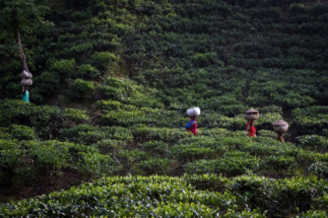 去小众的孟加拉国旅游安全吗?15件美好的小确幸告诉你真相