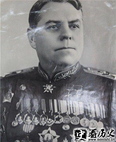 华西列夫斯基图片