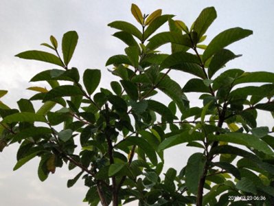 ​英语反义词汇总大全