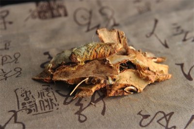 ​知母的作用（润肺益胃   滋阴降火）