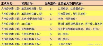 ​单纯性疱疹病毒 单纯疱疹病毒（HSV）有多可怕，看完本文你就知道了！