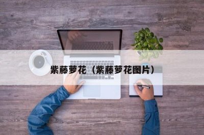 ​紫藤萝花（紫藤萝花图片）