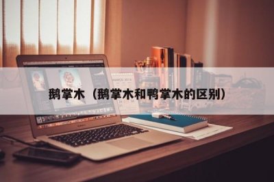 ​鹅掌木（鹅掌木和鸭掌木的区别）
