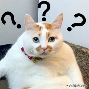 ​精子可以吃吗?（精液真能美容？那玩意能吃吗？）