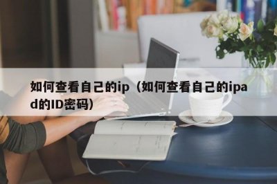 ​如何查看自己的ip（如何查看自己的ipad的ID密码）