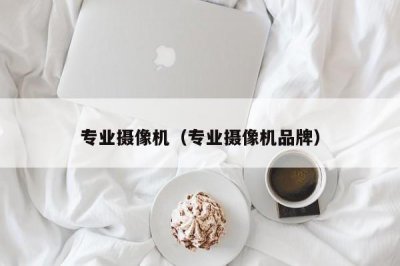 ​专业摄像机（专业摄像机品牌）