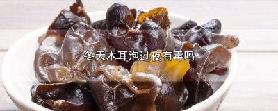 ​冬天木耳泡了一夜有毒吗 泡的木耳过夜有毒吗