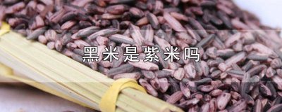 ​黑米也是紫米吗 紫米是黑米么
