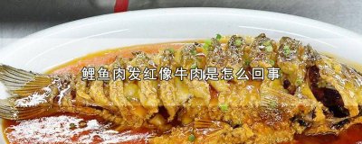 ​鲤鱼肉是深红色怎么回事 鲤鱼的鱼肉是红色的吗