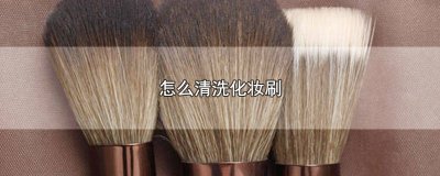 ​化妆刷应该怎么清洗 化妆刷应该怎么清洗?