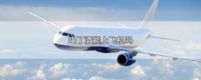 ​喝了酒能上飞机不 喝了酒可以上飞机么