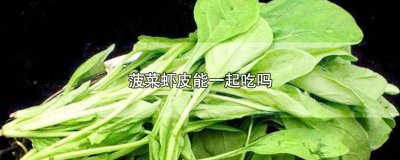 ​菠菜虾皮能一起吃吗 菠菜虾皮能不能一起吃