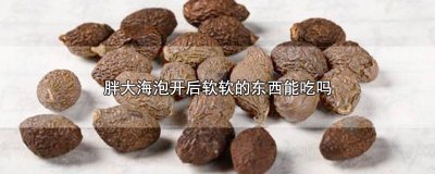 ​胖大海泡开了以后能吃吗 胖大海泡了以后可以吃下去吗