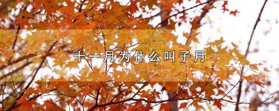 ​为什么十一月为子月 十一月是子月