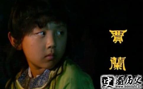 贾珠的儿子贾兰剧照