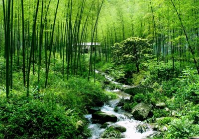 ​江西老表的由来（湖南江西老表的由来）