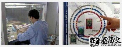 ​2002年12月12日 (壬午年冬月初九) 我完成世界首张水稻基因组“精