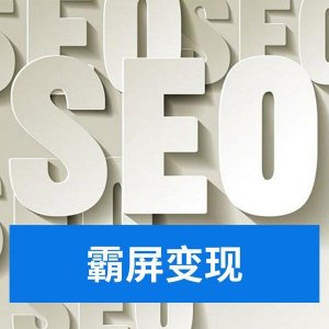 ​seo案例（seo案例模板推广）