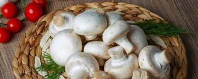 ​蘑菇能和茄子一起吃么嘛 蘑菇能和茄子一起吃么宝宝