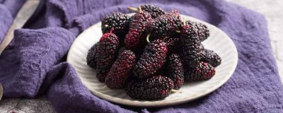 ​新鲜的桑葚怎么储藏 新鲜桑葚怎么保存?可以保存多久?