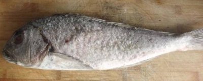 ​如何快速解冻虾类食品 如何快速解冻虾类视频