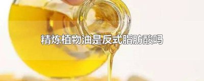 ​植物油是反式脂肪酸吗 反式脂肪酸