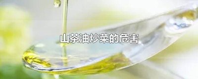 ​山茶油炒菜好不好 山茶油炒菜上火吗