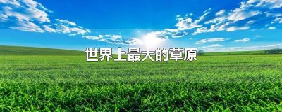 ​世界上最大的草原排名 世界上最大的草原是什么