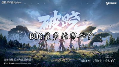 ​漏洞英文bug还是bag(网络热词bug是什么意思)