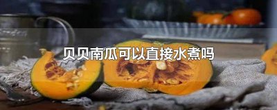 ​南瓜贝贝辅食 贝贝果南瓜怎么吃
