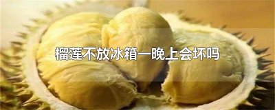 ​榴莲在冰箱放一晚上会坏吗 榴莲打开后不放冰箱一晚上会坏吗