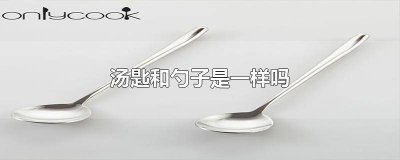 ​匙勺是什么 勺跟匙的区别