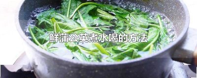 ​鲜蒲公英可以直接煮水喝吗 新鲜的蒲公英怎么熬水喝