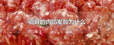 ​刚调的肉馅有点酸是怎么回事儿 肉馅稍微有点酸味道怎么回事