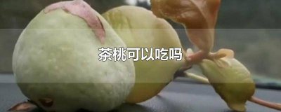 ​喝茶叶能吃桃子吗 吃桃子能喝茶叶茶吗