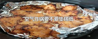 ​空气炸锅要不要垫锡纸