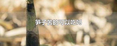 ​笋子苦能吃吗 笋子苦能不能吃