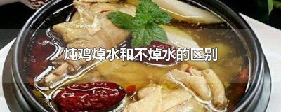 ​炖鸡肉焯水和不焯水的区别 炖鸡用焯水不
