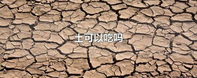 ​石塑粘土可以吃吗 阿胶男土可以吃吗
