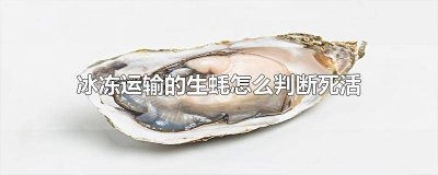 ​冷冻的生蚝是活的还是死的 冷冻生蚝是死的还是活的